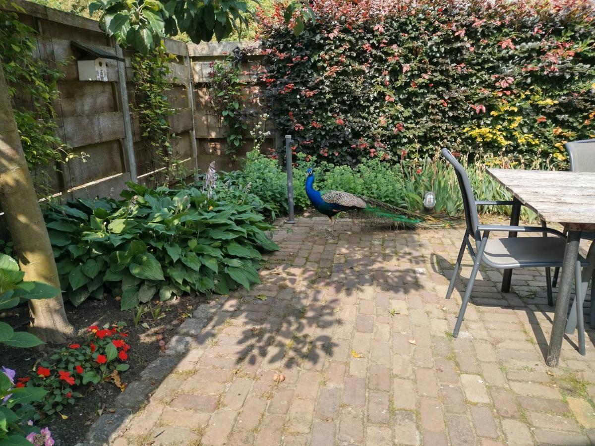 Bed and Breakfast Bed Op De Reth Baarle-Nassau Exterior foto